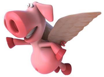 flyingpig